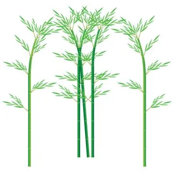Bamboo plant vector design Stock Illustration
