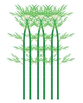 Bamboo plant vector design Stock Illustration