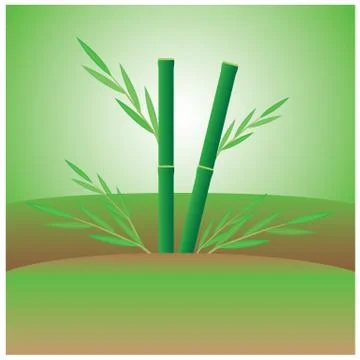 Bamboo plant vector design Stock Illustration