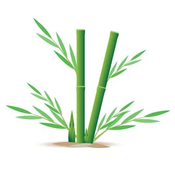 Bamboo plant vector design Stock Illustration