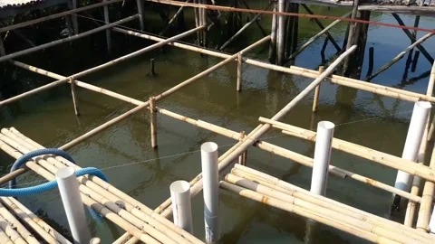 Bamboo is plugged in brown water Stock Footage 130527534