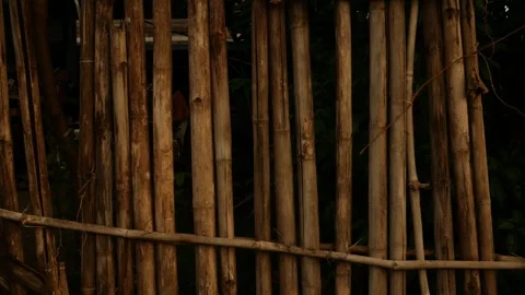 Bamboo Pole Fence Vertical Texture Deep Brown Black Stock Footage 341650863