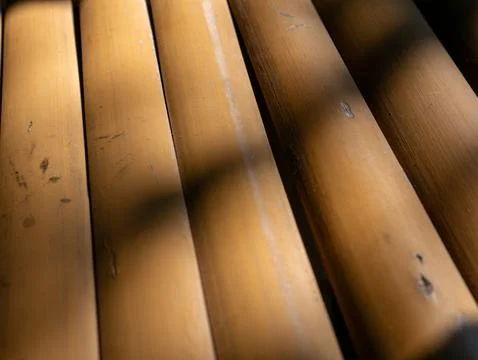 Bamboo Poles Diagonal Pattern: Natural Yellow Brown Bamboo Sticks Texture B.. Foto stock