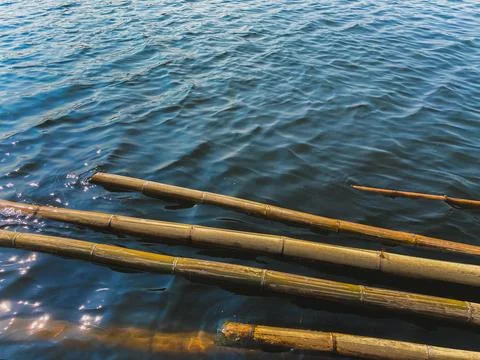 Bamboo poles floating on the surface of blue water 写真素材