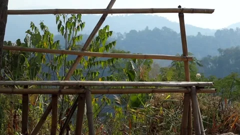 Bamboo Railing Overlooking Forested Hills Stock Footage 329839937