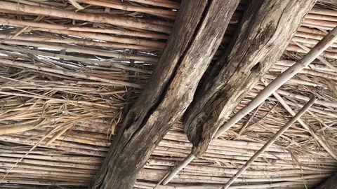 Bamboo roof Stock Footage