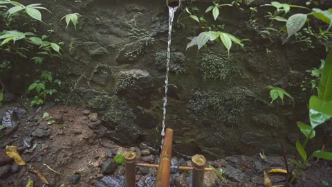 Bamboo Scarecrow In Monkey Forest Stock Footage 146102722