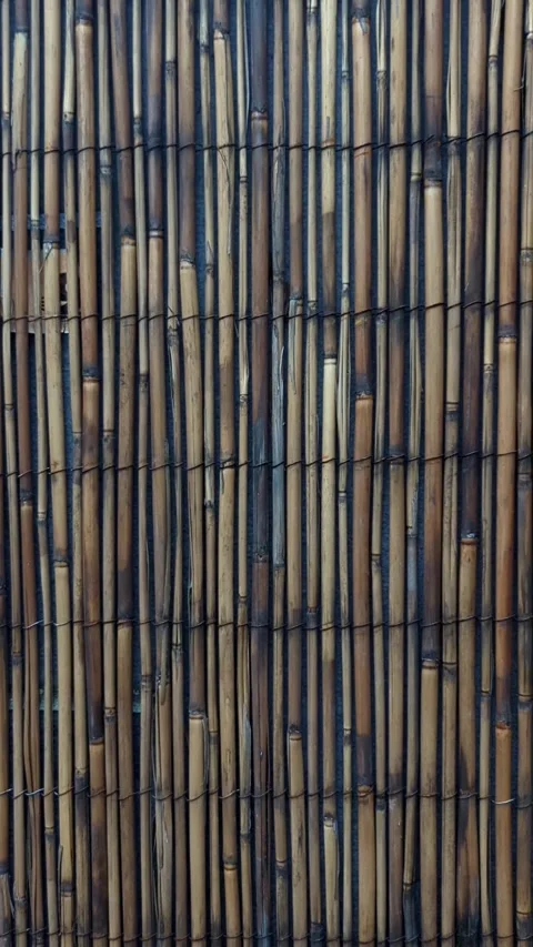 Bamboo Screen Texture Panning 4K, Natural Tropical Garden Fence, Left to Right Stock Footage 331316485