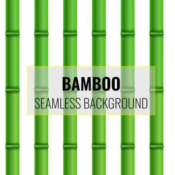 Bamboo Seamless background pattern. Realistic Vector illustration. Illustrazione stock