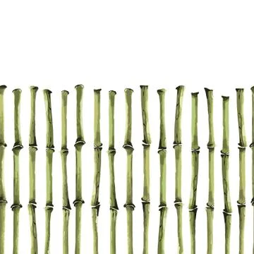 Bamboo Seamless Vertical border on white background Stock Illustration