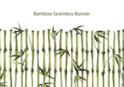 Bamboo Seamless Vertical border on white background Stock Illustration