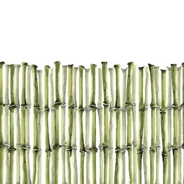 Bamboo Seamless Vertical border on white background Stock Illustration