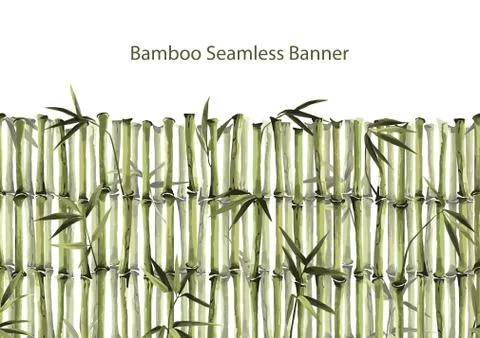 Bamboo Seamless Vertical border on white background Stock Illustration