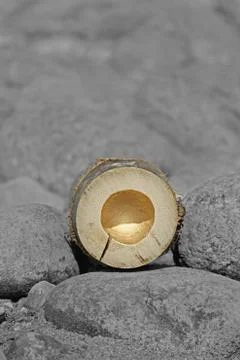 Bamboo Section Foto stock