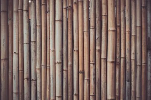 Bamboo shade Stock Photos
