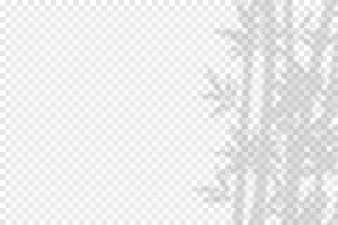 Bamboo Shadow Overlay Vector. Realistic Bamboo Shadow Overlay Effect. Elegant Illustrazione stock