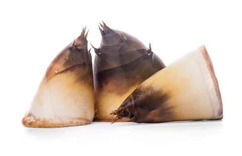 Bamboo shoot with leaf isolated on white background Stock Photos