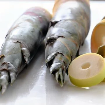 Bamboo shoot Stock Photos