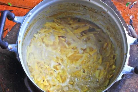 Bamboo shoot slice Foto stock