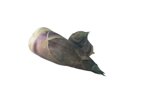 Bamboo shoot on the white background Foto stock
