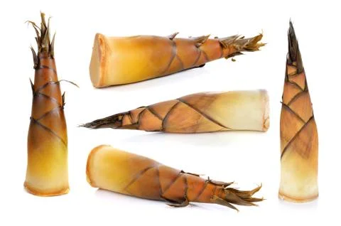 Bamboo shoot on white background Stock Photos