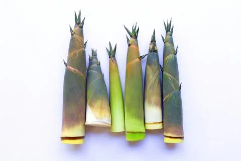 Bamboo shoot on white. Stock Photos