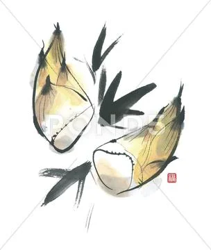 Bamboo shoots Stock Illustration