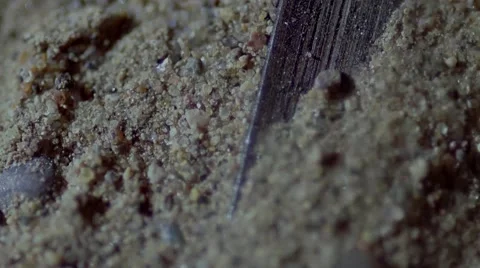 Bamboo slip，discover Stock-Footage 53835441