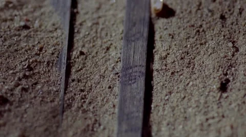 Bamboo slip，discover1 Video stock 53835440