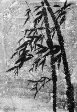 Bamboo in the snow Illustrazione stock