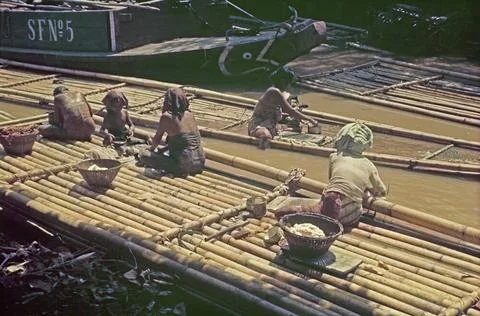 Bamboo splatters on Java Copyright: xpiemagsx dft41179 !ACHTUNG AUFNAHMEDA... Stock-Fotos