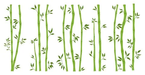 Bamboo stem bundle leaf borders set exotic spa fresh plant greenery flat tree Stock Illustration