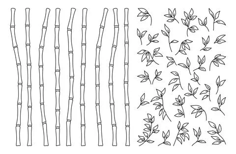 Bamboo stem leaf outline border exotic set spa decoration elements natural plant Stock Illustration