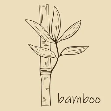 Bamboo stem with leaves isolated object. Stock Illustration