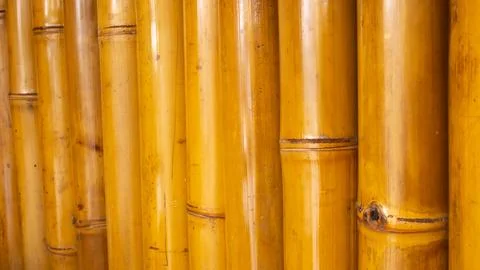 Bamboo Stem Texture – Natural Background &amp; Design Material Stock Photos