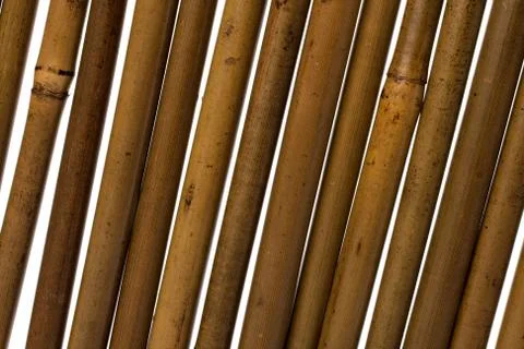 Bamboo stems background Stock Photos