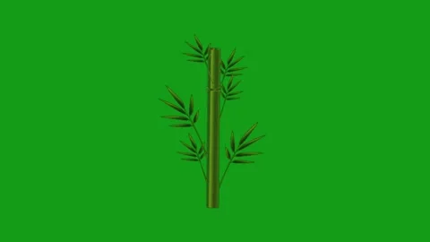 Bamboo stick motion graphics with green screen background Stock Footage 138546914