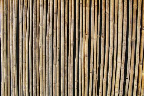 Bamboo sticks texture Stock Photos