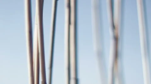Bamboo sticks on a white background Stock Footage 59665738