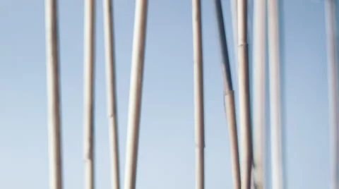Bamboo sticks on a white background Stock Footage 59665773