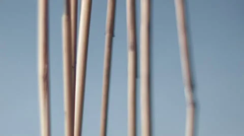 Bamboo sticks on a white background Stock Footage 59665782