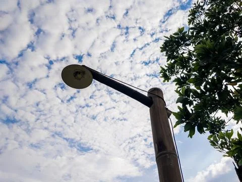 Bamboo Streetlights Stock Photos