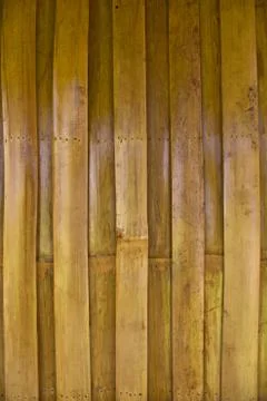 Bamboo stripe texture. Stock Photos