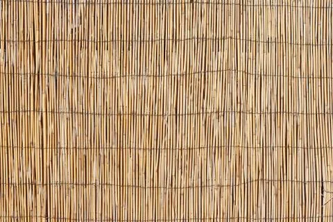 Bamboo surface texture Stock Photos