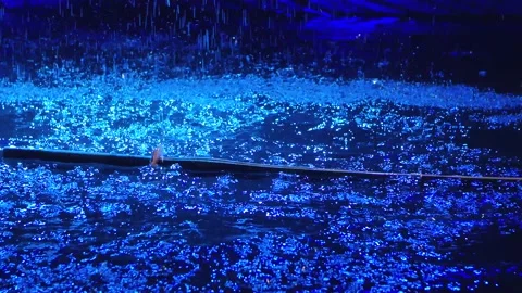 The bamboo sword of a Japanese kendo fighter falls on the surface of the water 스톡 동영상 139503553