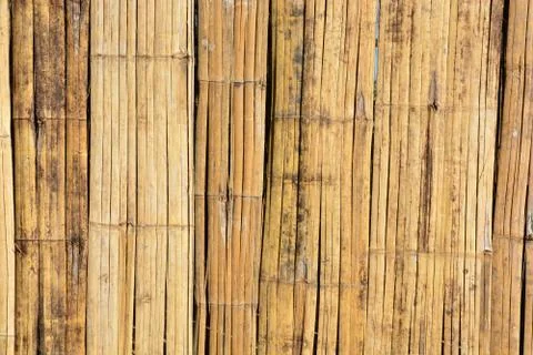 Bamboo texture and background.. Stock Photos
