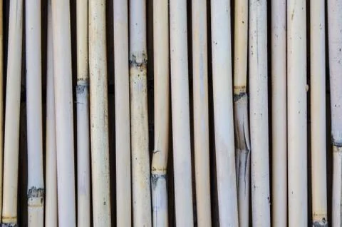 Bamboo texture background Stock Photos