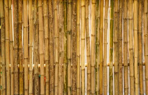 Bamboo texture background Stock Photos