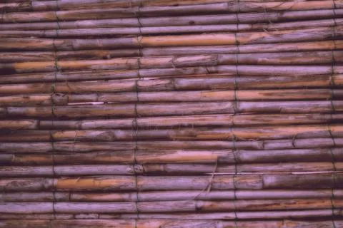 Bamboo texture background Stock Photos