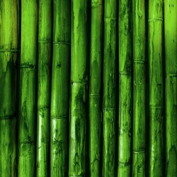 Bamboo texture background Foto stock
